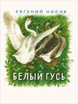 Книга - Евгений Иванович Носов - Белый гусь (fb2) читать без регистрации
