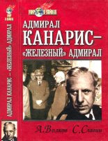 Книга - Станислав Николаевич Славин - Адмирал Канарис — «Железный» адмирал (fb2) читать без регистрации