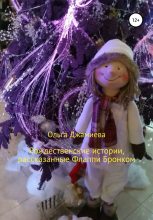 Книга - Ольга  Джамиева - Рождественские истории, рассказанные Флаппи Бронком (fb2) читать без регистрации