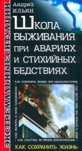 Книга - Андрей Александрович Ильичев (Ильин) - Школа выживания при авариях и стихийных бедствиях (fb2) читать без регистрации