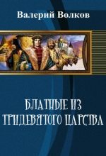 Книга - Валерий  Волков - Блатные из тридевятого царства (СИ) (fb2) читать без регистрации