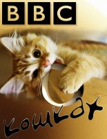 Книга - Сева  Новгородцев - Би-Би-Си о кошках (fb2) читать без регистрации