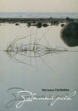 Книга - Наталья  Галкина - Забытый раёк (fb2) читать без регистрации