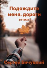 Книга - Сергей Марксович Бичуцкий - Подождите меня, дороги (fb2) читать без регистрации