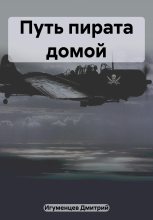 Книга - Дмитрий Юрьевич Игуменцев - Путь пирата домой (fb2) читать без регистрации