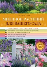 Книга - Галина Александровна Кизима - Миллион растений для вашего сада (fb2) читать без регистрации