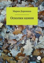 Книга - Мария Викторовна Доронина - Осколки камня (fb2) читать без регистрации