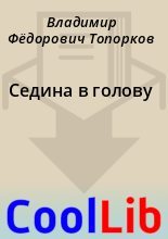 Книга - Владимир Фёдорович Топорков - Седина в голову (fb2) читать без регистрации