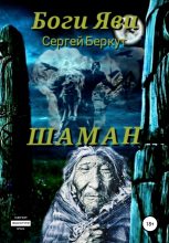 Книга - Сергей Владимирович Беркут - Боги ЯВИ. Шаман (fb2) читать без регистрации