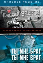 Книга - Сергей Иванович Зверев - Ты мне брат. Ты мне враг (fb2) читать без регистрации