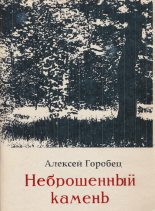 Книга - Алексей Борисович Горобец - Неброшенный камень (fb2) читать без регистрации