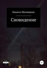 Книга - Никита  Митюшкин - Сновидение (fb2) читать без регистрации