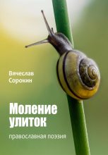 Книга - Вячеслав  Сорокин - Моление улиток (fb2) читать без регистрации