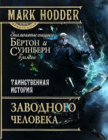 Книга - Марк  Ходдер - Таинственная история заводного человека (fb2) читать без регистрации