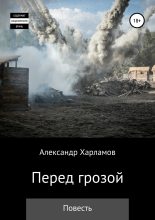 Книга - Александр Сергеевич Харламов (Has3) - Перед грозой (fb2) читать без регистрации