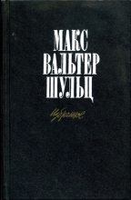 Книга - Макс Вальтер Шульц - Летчица, или конец тайной легенды (fb2) читать без регистрации