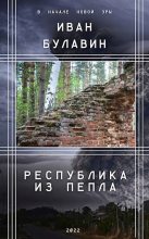 Книга - Иван Владимирович Булавин - Республика из пепла (fb2) читать без регистрации