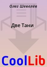 Книга - Олег  Шевелёв - Две Тани (fb2) читать без регистрации