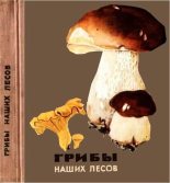 Книга - К. В. Шульга - Грибы наших лесов (fb2) читать без регистрации