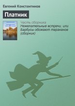 Книга - Евгений Михайлович Константинов - Платник (fb2) читать без регистрации