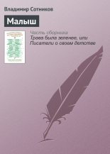 Книга - Владимир Михайлович Сотников - Малыш (fb2) читать без регистрации