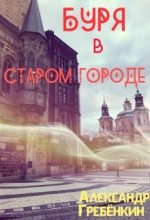 Книга - Александр  Гребенкин - Буря в старом городе (fb2) читать без регистрации