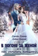 Книга - Алена  Орлова - В погоне за женой, или Как укротить попаданку (СИ) (fb2) читать без регистрации
