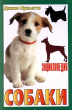 Книга - Джино  Пуньетти - Энциклопедия собаки. Рабочие собаки (fb2) читать без регистрации