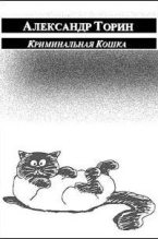 Книга - Александр  Торин (Тараторин) - Криминальная Кошка (fb2) читать без регистрации