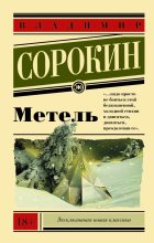 Книга - Владимир Георгиевич Сорокин - Метель (fb2) читать без регистрации