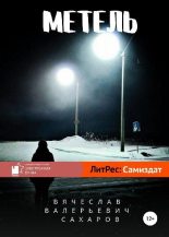 Книга - Вячеслав Валерьевич Сахаров - Метель (fb2) читать без регистрации