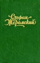 Книга - Стефан  Жеромский - Верная река (fb2) читать без регистрации