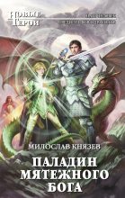 Книга - Милослав  Князев - Паладин мятежного бога (fb2) читать без регистрации
