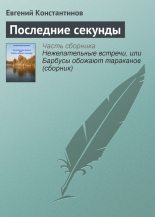 Книга - Евгений Михайлович Константинов - Последние секунды (fb2) читать без регистрации