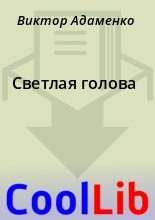 Книга - Виктор  Адаменко - Светлая голова (fb2) читать без регистрации