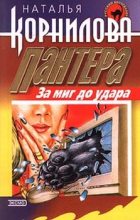 Книга - Наталья Геннадьевна Корнилова - За миг до удара (fb2) читать без регистрации
