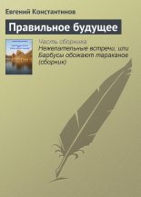 Книга - Евгений Михайлович Константинов - Правильное будущее (fb2) читать без регистрации