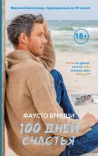 Книга - Фаусто  Брицци - 100 дней счастья (fb2) читать без регистрации