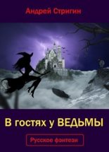 Книга - Андрей Николаевич Стригин - В гостях у ведьмы (СИ) (fb2) читать без регистрации