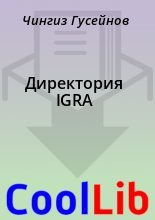 Книга - Чингиз  Гусейнов - Директория IGRA (fb2) читать без регистрации