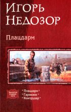 Книга - Игорь Владимирович Недозор - Плацдарм (fb2) читать без регистрации
