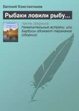 Книга - Евгений Михайлович Константинов - Рыбаки ловили рыбу… (fb2) читать без регистрации