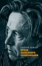 Книга - Андрей Семенович Немзер - Проза Александра Солженицына. Опыт прочтения (fb2) читать без регистрации