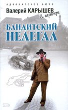 Книга - Валерий Михайлович Карышев - Исполнитель (fb2) читать без регистрации