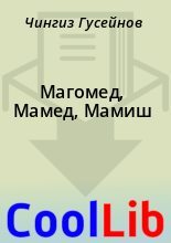 Книга - Чингиз  Гусейнов - Магомед, Мамед, Мамиш (fb2) читать без регистрации