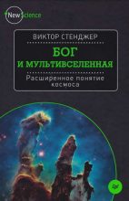 Книга - Виктор  Стенджер - Бог и Мультивселенная. Расширенное понятие космоса (fb2) читать без регистрации