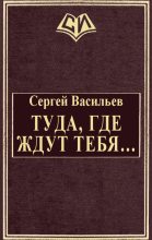 Книга - Сергей Викторович Васильев - Туда, где ждут тебя... (fb2) читать без регистрации