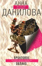 Книга - Анна Васильевна Данилова (Дубчак) - Бронзовое облако (fb2) читать без регистрации