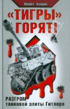 Книга - Мартин  Кэйдин - «Тигры» горят! Разгром танковой элиты Гитлера (fb2) читать без регистрации