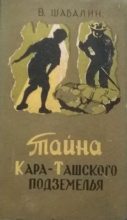 Книга - Виктор Михайлович Шабалин - Тайна Кара-Ташского подземелья (fb2) читать без регистрации